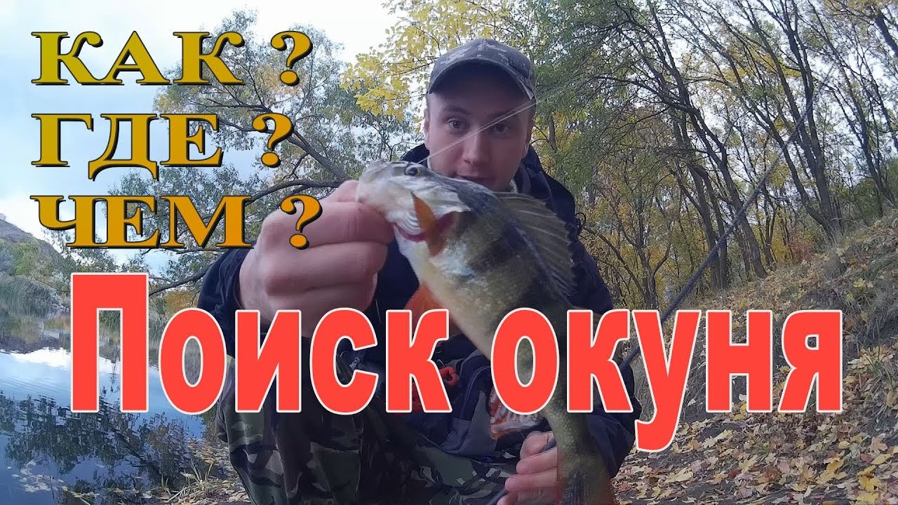 Что ловится на оке