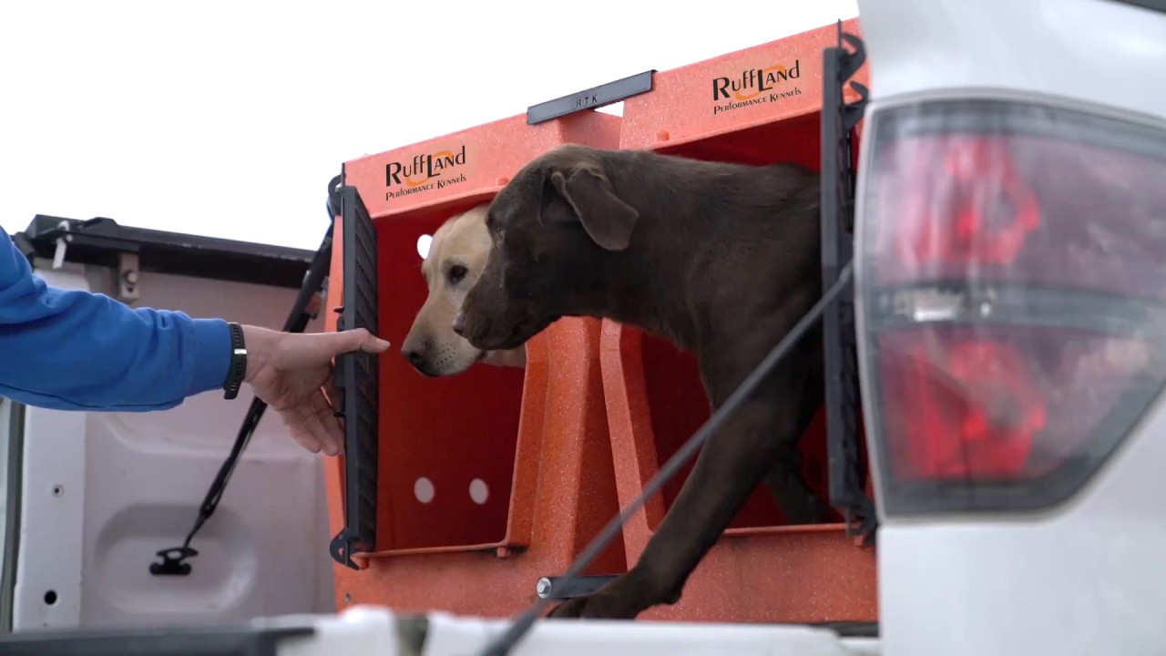 Ruff Land Performance Kennels