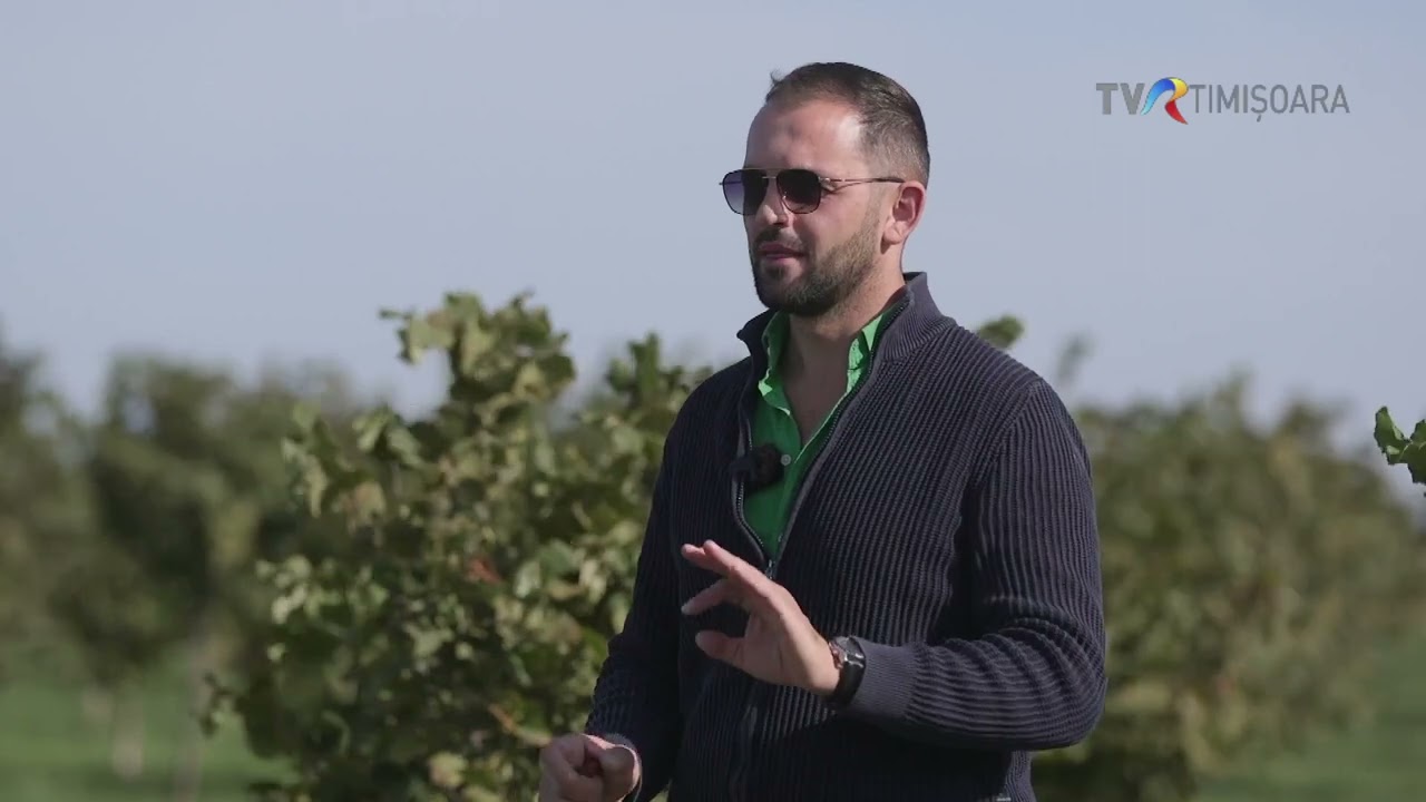 Cea mai mare plantație de aluni din Europa se află în Timiș #SatulMeu @TVRTM