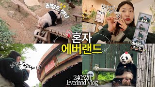 cc) Solo Trip to Everland to see Panda Family!! | Pandaworld | Biggest Theme Park in Korea