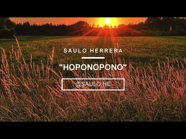 MEDITACIÓN 3 " HOPONOPONO "