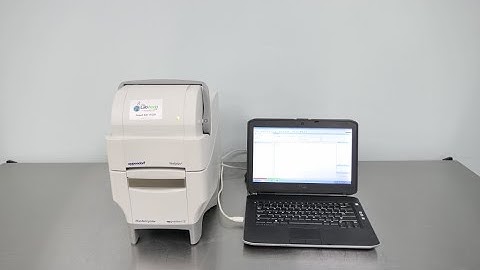Eppendorf Mastercycler epgradient S 96 Well Thermal Cycler