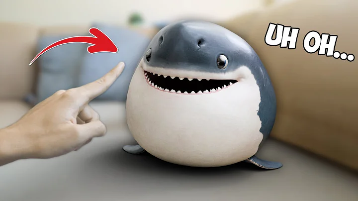 Don't Poke A Baby Shark!