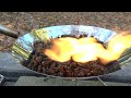 大量のオオスズメバチを燃やしたらヤバいの飛んできた