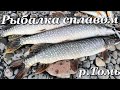 Рыбалка в конце лета. Много щучьих поклёвок🔥🎣 👍Сплав по р.Томь, красивые места. Сломал спиннинг🤦🏻‍♂️