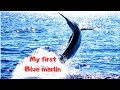 Blue Marlin Fishing in Grand Canaria- Amazing 400lbs fish!