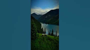 اكتب شئ تؤجر عليه😴✨ #المنشاوي #تلاوة_خاشعة #تلاوة_مؤثرة #محمد_صديق_المنشاوي #القرآن_الكريم
