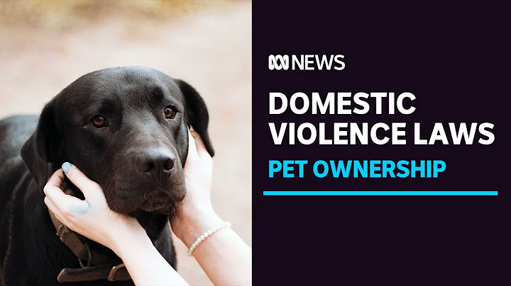Calls for family violence law reform to help victims and their pets | ABC News