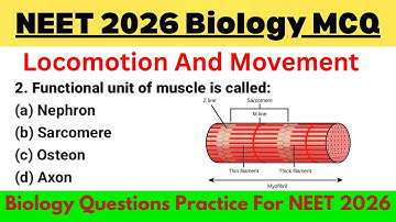 Locomotion And Movement Class 11| NEET 2026 | Biology Important Questions Neet 2026 | MCQ
