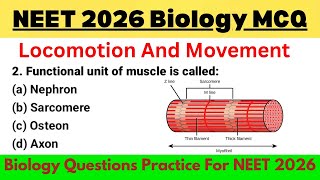Locomotion And Movement Class 11| NEET 2026 | Biology Important Questions Neet 2026 | MCQ