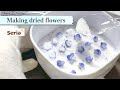 【作り方/セリア】シリカゲルを使って初めてのドライフラワー作り / Making dried flowers using silica gel.