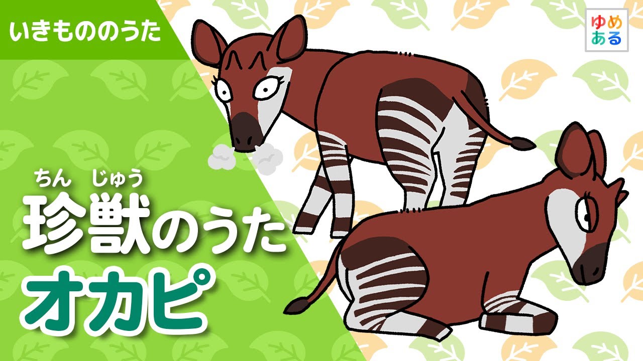 おかぴ Song of rare animals | Okapi - YouTube