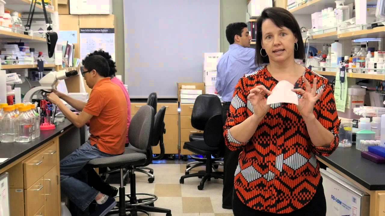 Intestinal Rehab Program