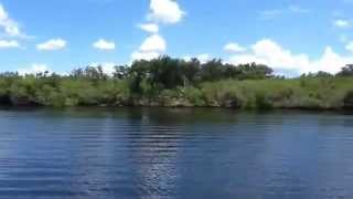 541 SW Falcon Street, Four Rivers, Waterfront Home In Palm City, FL