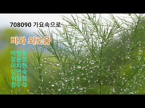 비와 외로움 바람꽃 장윤정 이치현 김연숙 위일청 정수라