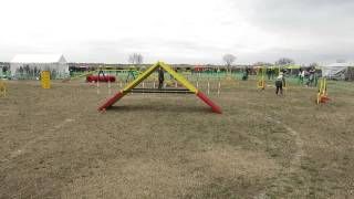 ノア 2016-01-23 FCI東日本【AG2】