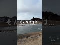 え?犬?...