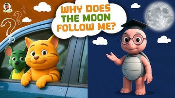 Why Does The Moon Follow Me Everywhere I Go? | Science for Kids | Learning Videos |Professor Turtloo