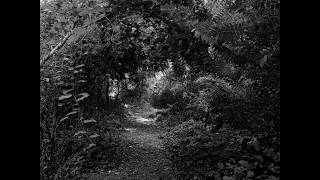 Landscape and Memory