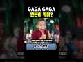 GAGA GAGA? 이게 뭔 번역이야?
