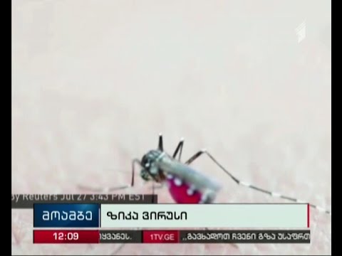 თეთრი სახლი ფლორიდაში \"ზიკა\" ვირუსის შემთხვევებს ეხმაურება