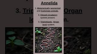 Celebrity Phylum Annelida | #youtubeshorts #shorts Wealth