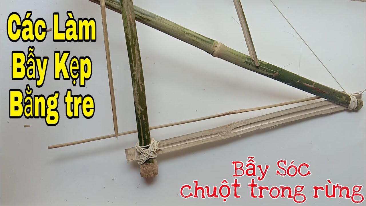 Hướng đẫn cách làm bẫy kẹp bằng tre chi tiết , đơn giản ( Bẫy chuột sóng trong rừng)-VCN.Channel