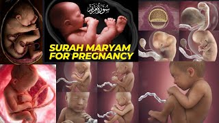 Bacaan Surah Maryam Untuk Kehamilan Untuk Bayi Cantik