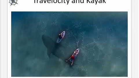 Building An Organizational Culture That Is Committed To Excellence