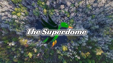 Land Management - NEW Duck Hole in the TIMBER