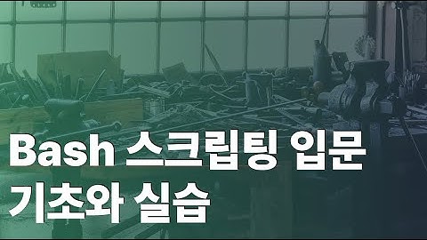 Bash 스크립트 입문 - 기초와 실습