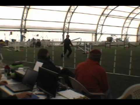 USDAA-Barto-Feb 11 2011-Grand Prix