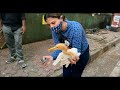 Another BIRD Rescue | Ss Vlogs :-)