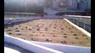 wieve of graves In Janat ul muala Mecca