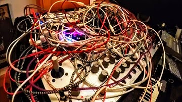 Wiggle the Wogglebug by LavLab