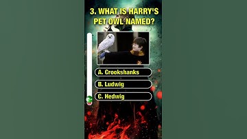 HARRY POTTER QUIZ TIMEEE #quiz #harrypotter #potterhead
