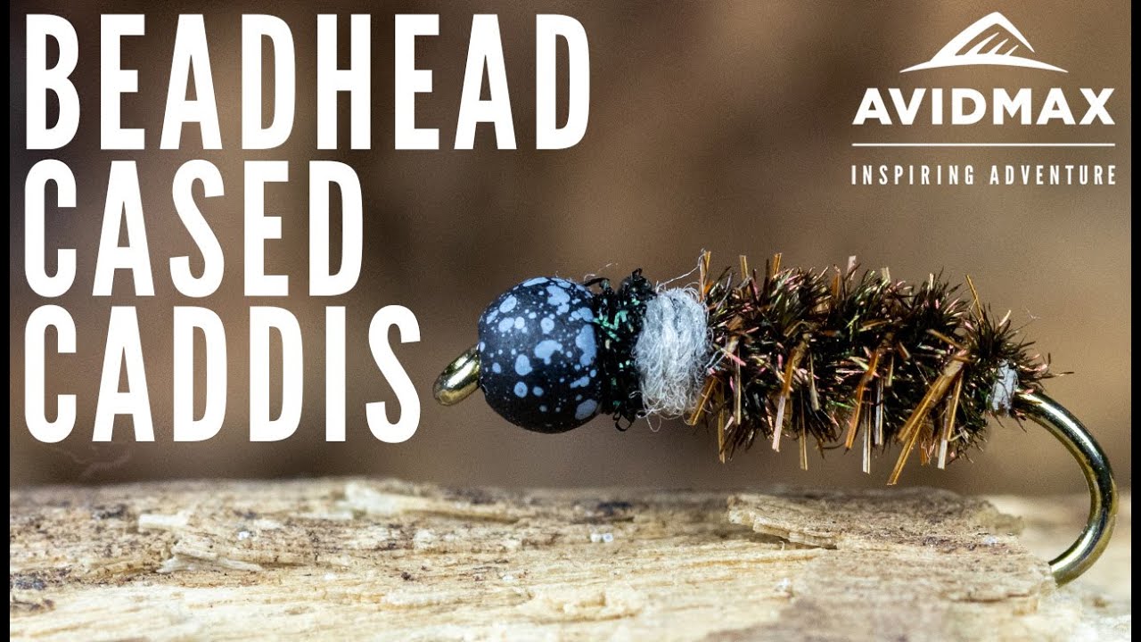 How to tie the Beadhead Cased Caddis | AvidMax Fly Tying Tuesday
