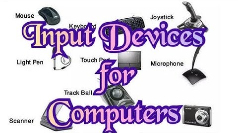 Input Devices | Fundamentals of Computer | Input | Computer Education