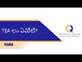 What Is TEAs | Understanding TEAs | All About TEAs | In TELUGU | ​@QuantumGlobalResidency #usa