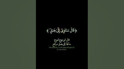 سورة هود الآية 29 - الآية 49 بصوت القارئ إسلام صبحي  🎧