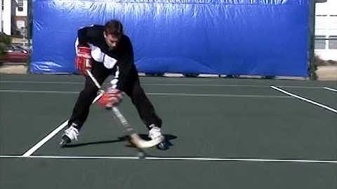 Smarthockey 6.6 Gliding with Puck - rotation