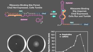 Microbiological Assays screenshot 4