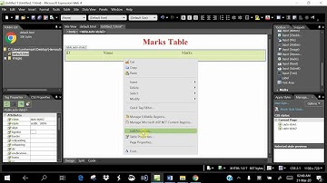 8 Microsoft expression 4 add table and format it