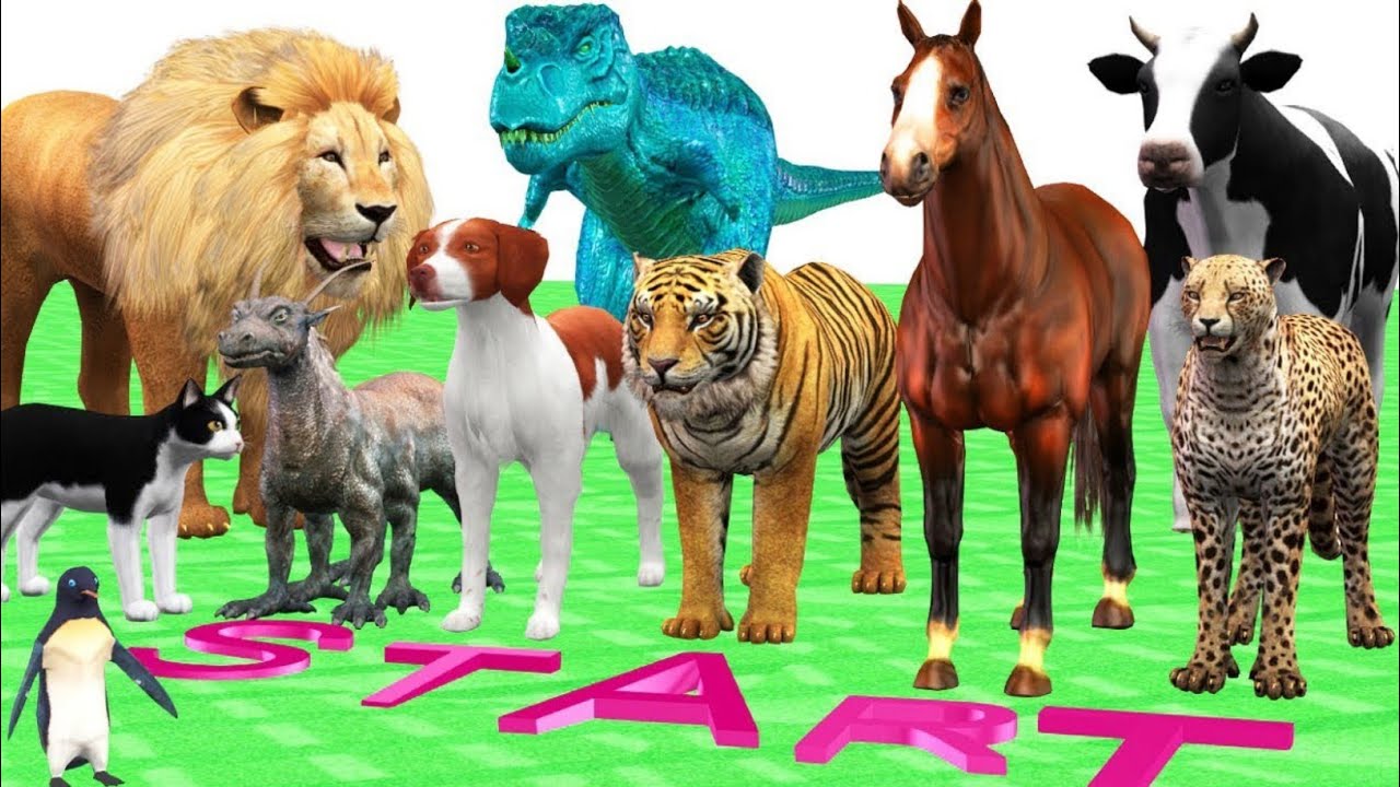 Wild animals play. Интерактивная игра животные. Animal Run игра. Animal World игра детская 2014. Pari animals игра.