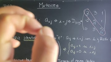 Matrices, matriz identidad, diagonal principal de una matriz, elementos de una matriz - Teoría (P62)