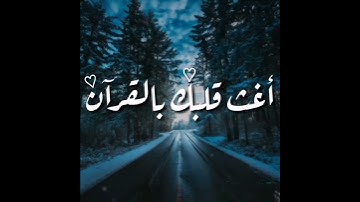 حالات واتس اب دينية تلاوة هادئة : القارء سلمان العتيبي