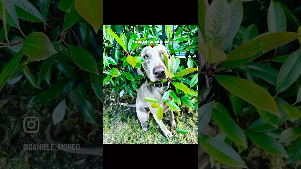 4 anni di puro amore ❤️