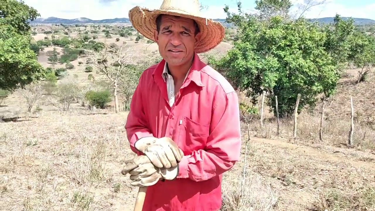 Valor De 1 Tarefa De Terra Na Bahia - RETOEDU