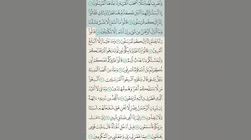#قرآن #تلاوة_خاشعة #اسلام #كتاب #آيات #القرآن_الكريم #quran #islam #tilawat #islamicvideo  #islamic