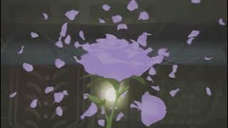 Shikdum | Dhoom (slowed   reverb)